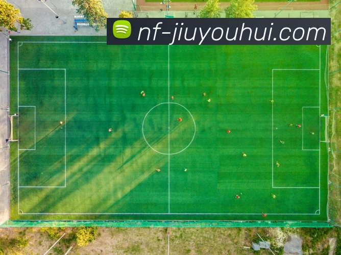 九游会J9官网平台生态图